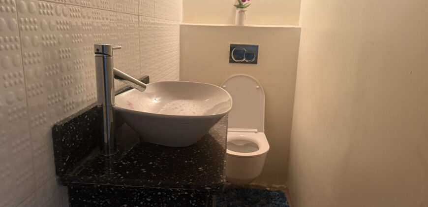 Executive House for Sale & Rent in East Legon